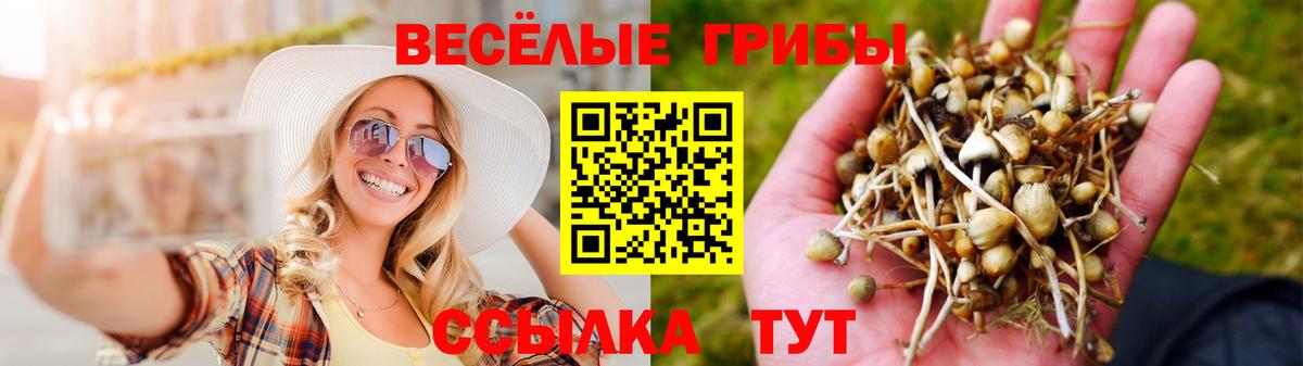 Рассказово  Псилоцибиновые грибы Cubensis  наркошоп  Вход с VPN 